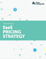 Developing Your SaaS Pricing Strategy - Cover